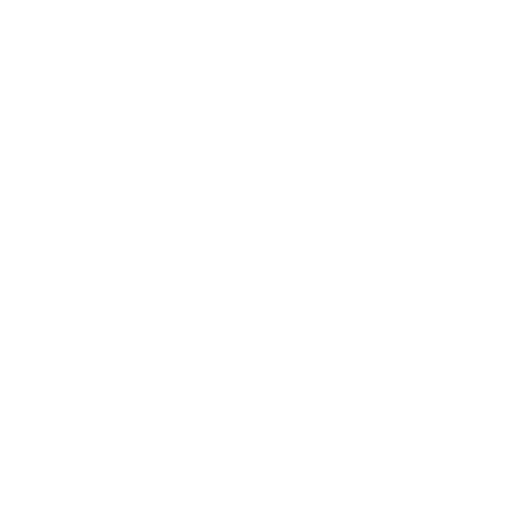 Expert Processing Icon